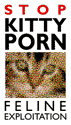 Kitty Porn