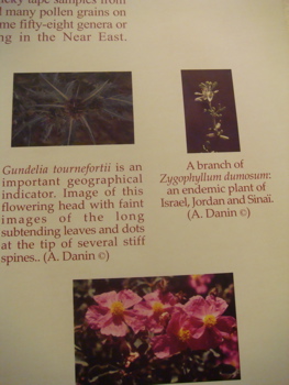 Text and illustrations of plants whose pollen has been found on the Shroud (hs)