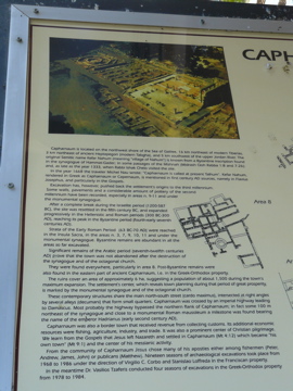 Explanation of the digs at Capernaum (rw)