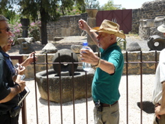 George explains how they used to handle olives "this big!" in the stone olive press, at Capernaum (rw)