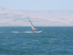 Windsurfer on the Sea of Galilee (hs)