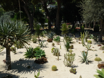 Cactus Garden at the Baha'i Shrine of the Bab in Haifa (rw)