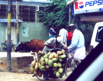 Bicycle loaded with tropical fruit